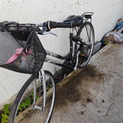 Women's bike