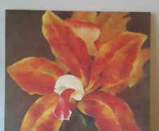 Selection of Canvas Paintings- FINAL OFFER AS I'M MOVING