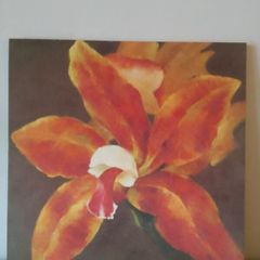 Selection of Canvas Paintings- FINAL OFFER AS I'M MOVING