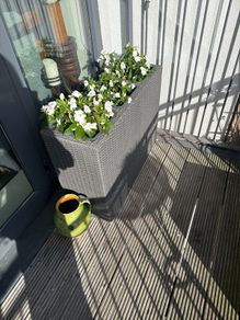 planter