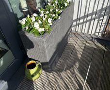 planter