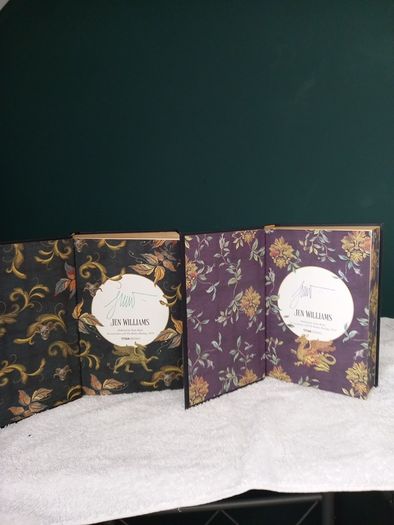 Talon Duology Books - Jen Williams