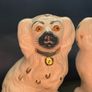 Pair Vintage Staffordshire Dogs Beswick Spaniels White & Gold Image 2