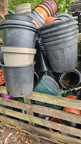 Free Plant Pots