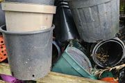 Free Plant Pots