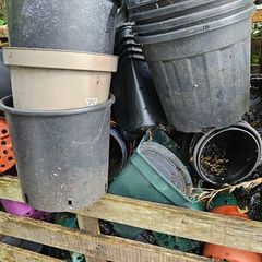 Free Plant Pots