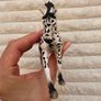 Schleich 13769 Knapstrupper Mare 2014 Used Please see photos Image 6