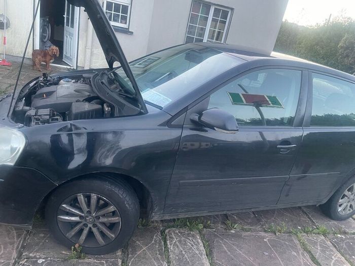 Vw polo