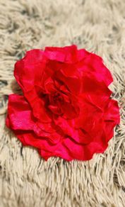 Vibrant Pink Flower Hair Clip  Bold & Beautiful