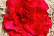 Vibrant Pink Flower Hair Clip  Bold &amp; Beautiful