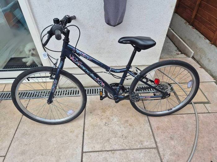 24 inch bicycle