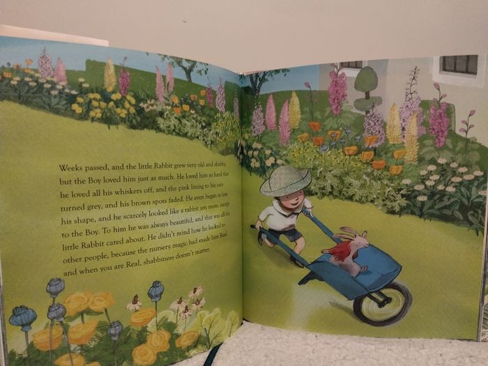 The Velveteen Rabbit, classic, hardback book