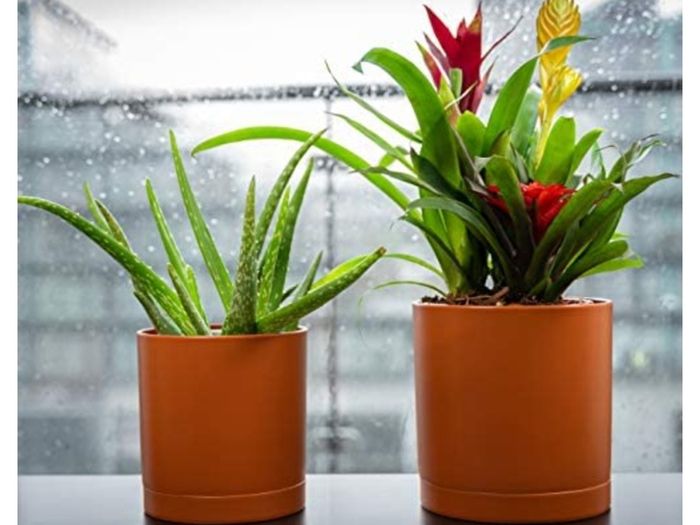 Set of 4 plastic planter pots with trays
