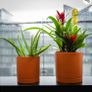 Set of 4 plastic planter pots with trays Image 3