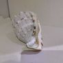 Sea Shell Image 2