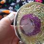 Yankee glass candle holders Image 4