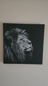 Painting canvas black and white