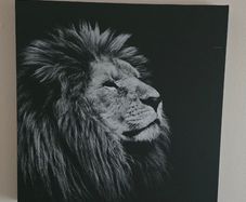 Painting canvas black and white