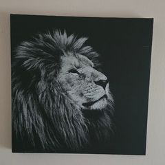 Painting canvas black and white