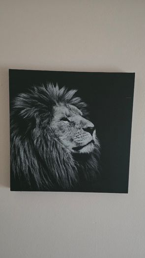 Painting canvas black and white