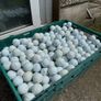 Pro V One Golf Balls Image 3