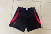 LFC Medium Nike Mens shorts 24/25