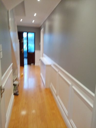 Painter decorator (s.c.s.painters)