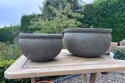 Wall planters