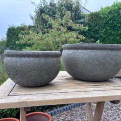 Wall planters