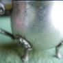 Vintage  Silver Plated Mustard Condiment Pot Image 8