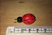 Brooch