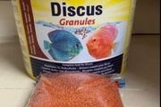 Tetra Discus - 20% Off - August Bank Holiday