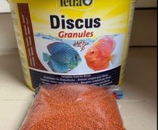 Tetra Discus - 20% Off - August Bank Holiday