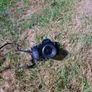 helios 44m Image 2