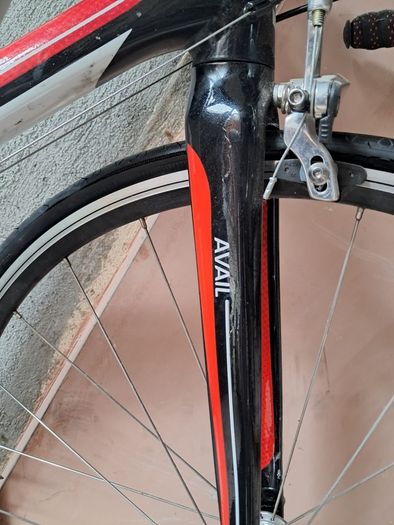 Giant bike