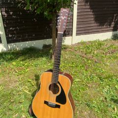 12-String Acoustic Electric Guitar (Yamaha FG420E-12)
