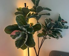Artificial Tree IKEA FEJKA
