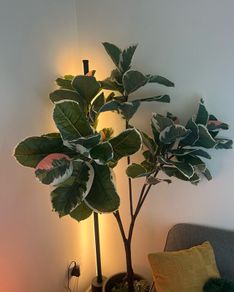 Artificial Tree IKEA FEJKA