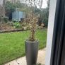 self watering pot Image 3