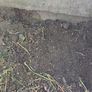 free top soil Image 2