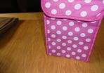Insulated Lunch Bag for Sale
