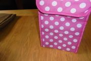 Insulated Lunch Bag for Sale
