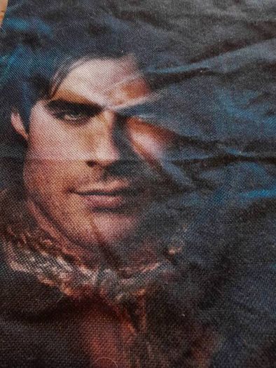 vampire diaries damon cushion cover