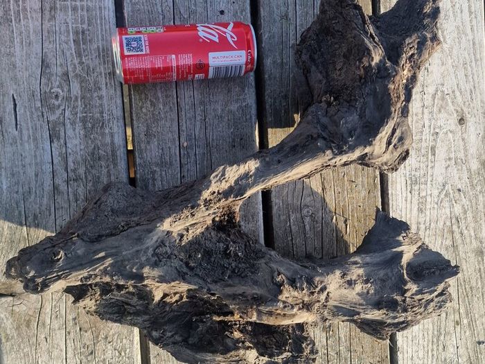 bog oak