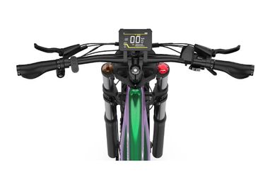 DUOTTS E26 Electric Bike
