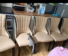 6 chairs