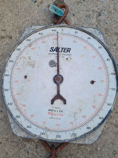 Salter Scales