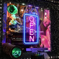 LED Neon Open Sign with ON/OFF Switch Adapter, Ultra Bright and Eye-catching Electric Light Up Sign for Bar, Salon, Shop, Blue/Pink, Vertical (FREE SHIPPING)