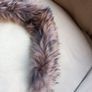 Fur Collar (Genuine Fur) Coyote Image 2