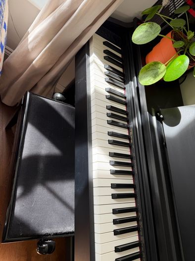 Electric piano Casio Celviano AP270 with adjustable stool